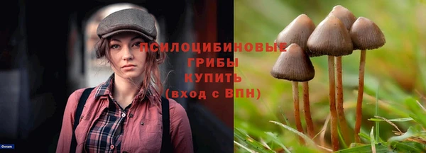 мдпв Иннополис